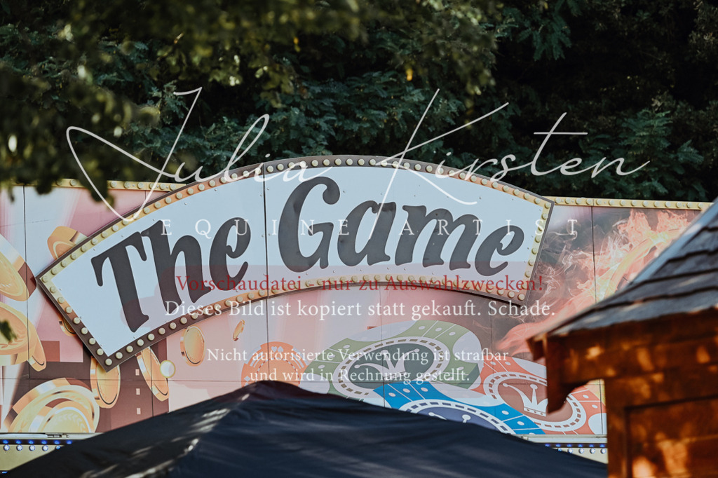 DSC_8908 | Pferde- und Turnierfotografie in Westsachsen. Pferdeportraits, Auftragszeichnungen und intuitive Kunst.