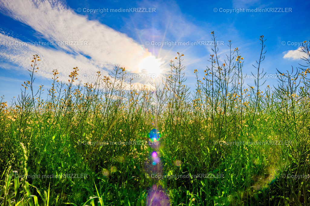 _J3A7816 | medienkrizzler - Realisiert mit Pictrs.com