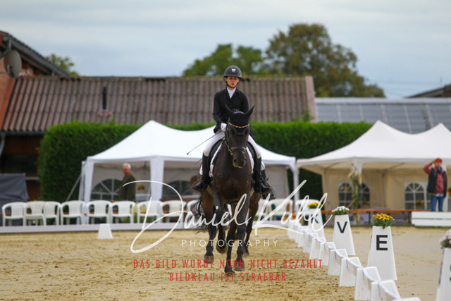 DKP43581 | Turniersportfotografie; Pferdefotografie; Dressurfotografie