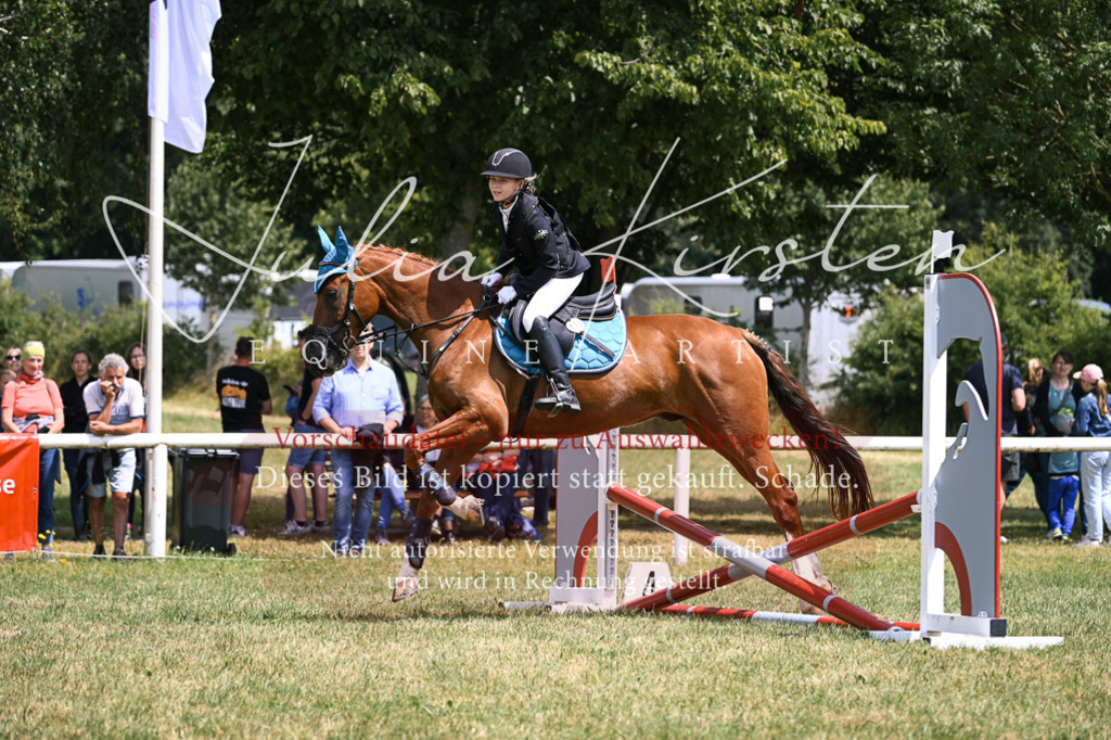 DSC_9264 | Pferde- und Turnierfotografie in Westsachsen. Pferdeportraits, Auftragszeichnungen und intuitive Kunst.