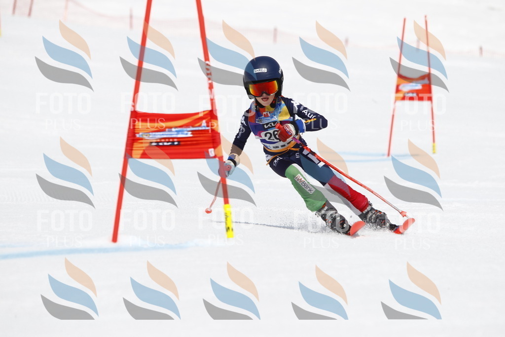 _U3G6633 | holidayphoto