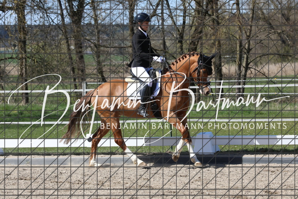 AZ2A4557 | Benjamin Bartmann Photomoments