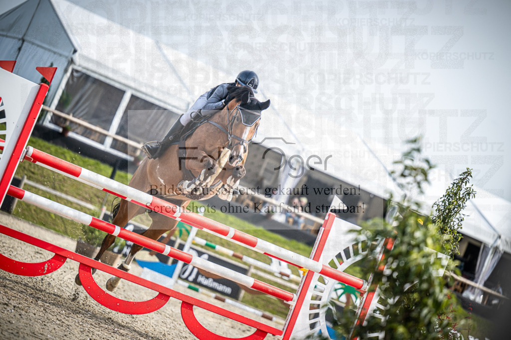 DOS_0940 | Entdecke hochwertige Reitturnierfotos von Foto Oger. Professionell, emotional und authentisch – jetzt Lieblingsmomente im Shop bestellen.Deutschlandweite Turnierfotografie. - Realisiert mit Pictrs.com