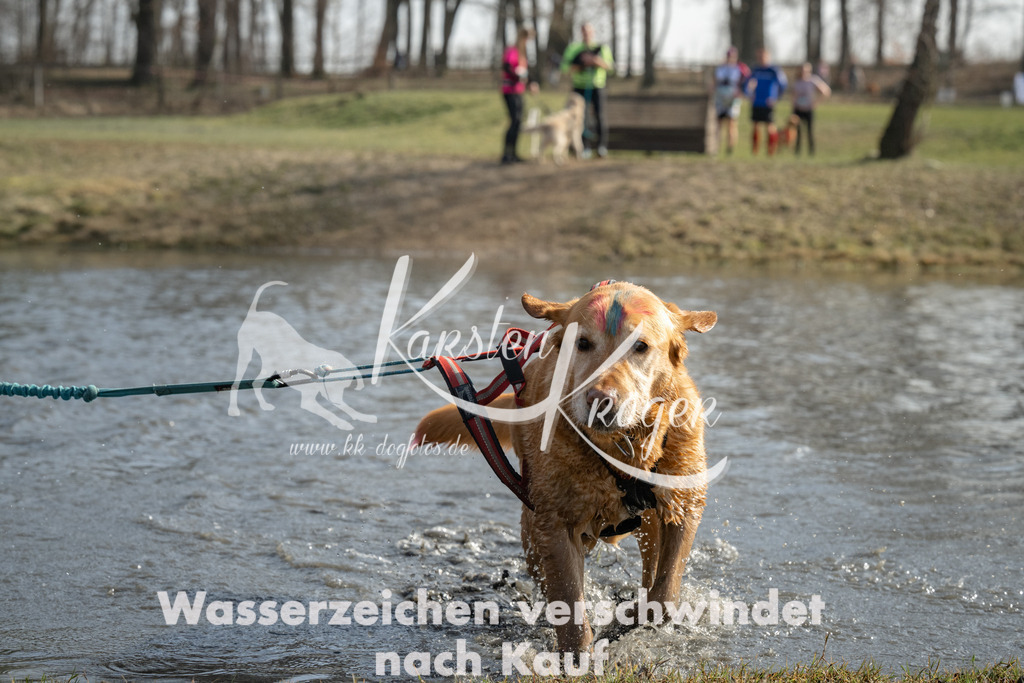 1255_ZZ92855 | kk-dogfotos