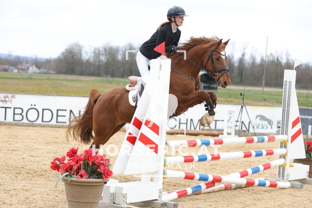0P6A8087 | Willkommen bei Brunnmayr - Design & Fotografie – Ihrem Spezialisten für Reitturniere und Pferdeveranstaltungen in Oberösterreich, Salzburg und Bayern! Seit über 17 Jahren sind wir leidenschaftlich dabei.