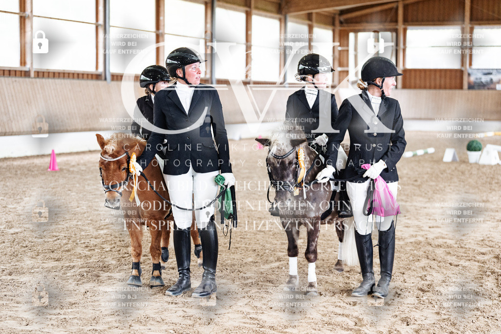 CK902376 | Turnierfotografie Pferdefotografie Trier Rheinland-Pfalz Pferdesport Reitsport Tierfotografie Sportfotografie Pferdevideo Pferdevideografie Equestrianvideography equestrianphotography  - Realized with Pictrs.com