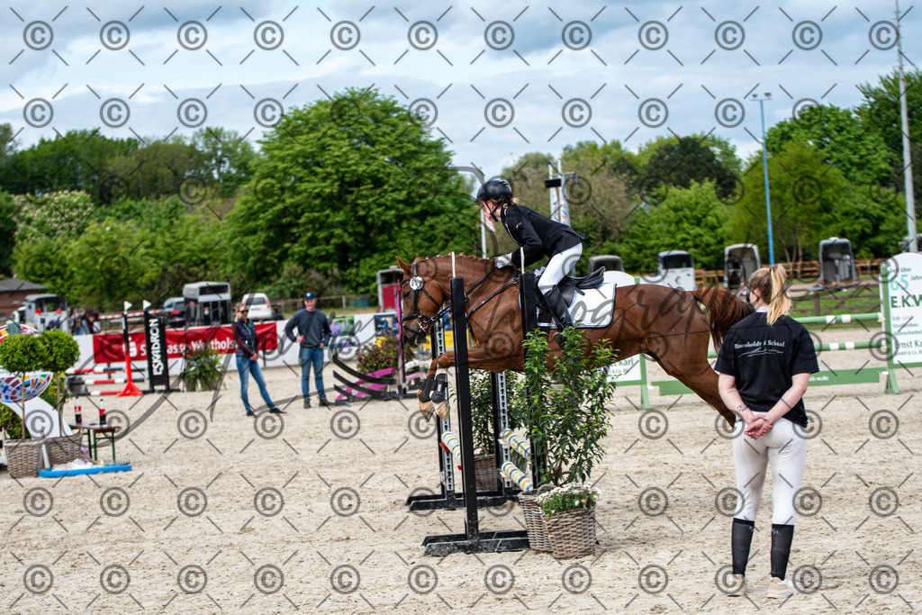 KPT_5957 | andre_photographic