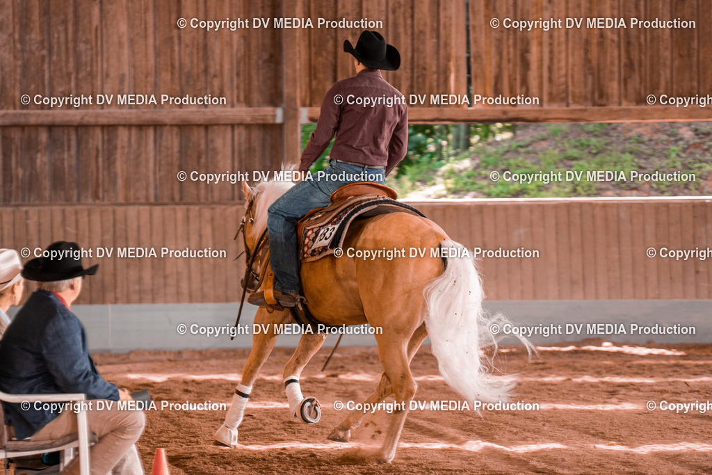 NE200871 | dv-media-shop - Realisiert mit Pictrs.com