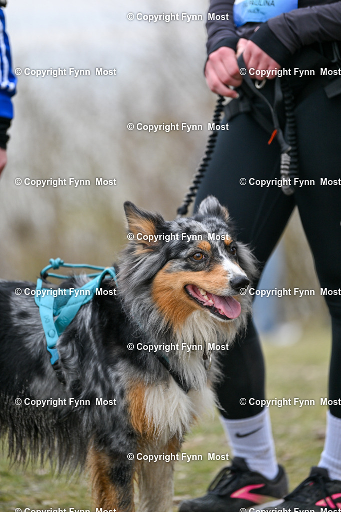DSC_3225 | Hallo und herzlich Willkommen auf meiner Shop-Seite Fynn Most.

Ich wünsche Dir viel Spaß beim stöbern durch die Bilder, wenn Du Fragen hast oder Bilder vermisst, kannst du mir gerne eine Nachricht schreiben. - Realisiert mit Pictrs.com