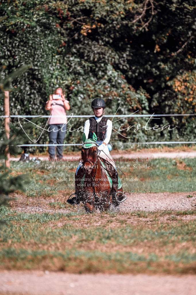 DSC_0856 | Pferde- und Turnierfotografie in Westsachsen. Pferdeportraits, Auftragszeichnungen und intuitive Kunst.