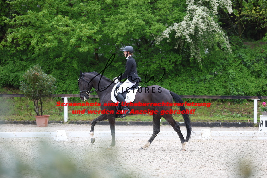 A40A9234 | lmwpictures - Realisiert mit Pictrs.com