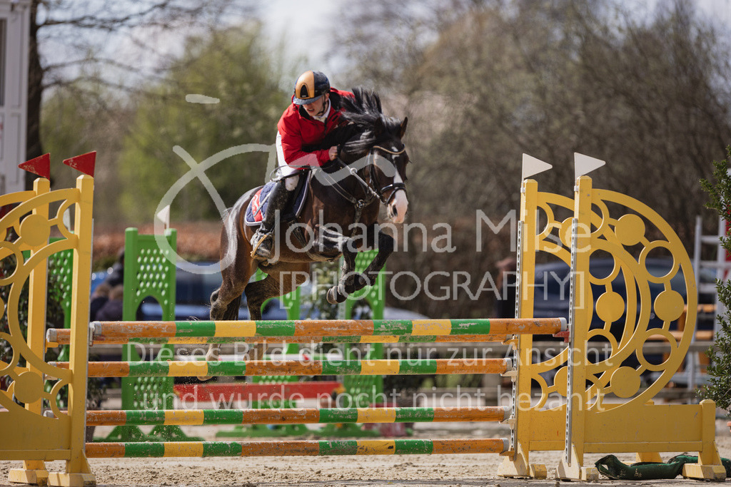230402_MünsterHandorf_Teamspringen-547 | Deine schönsten Turniermomente als professionelle Fotos! Entdecke hochwertige Pferdesport-Fotografie im Online-Shop. Jetzt Fotos finden & bestellen!