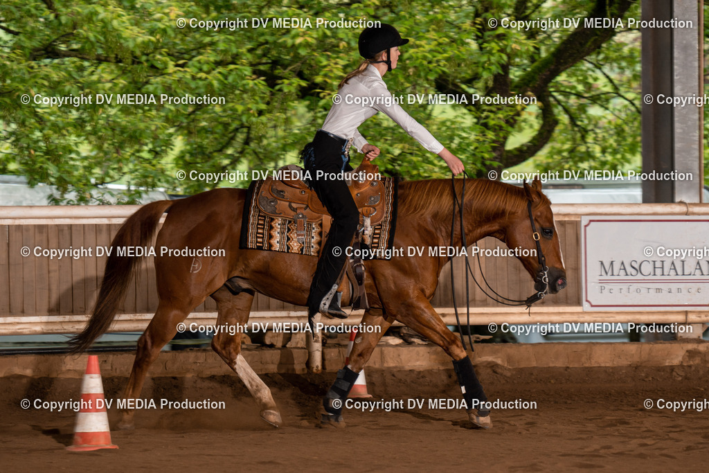 Erbach Tag 3-536 | dv-media-shop - Realisiert mit Pictrs.com