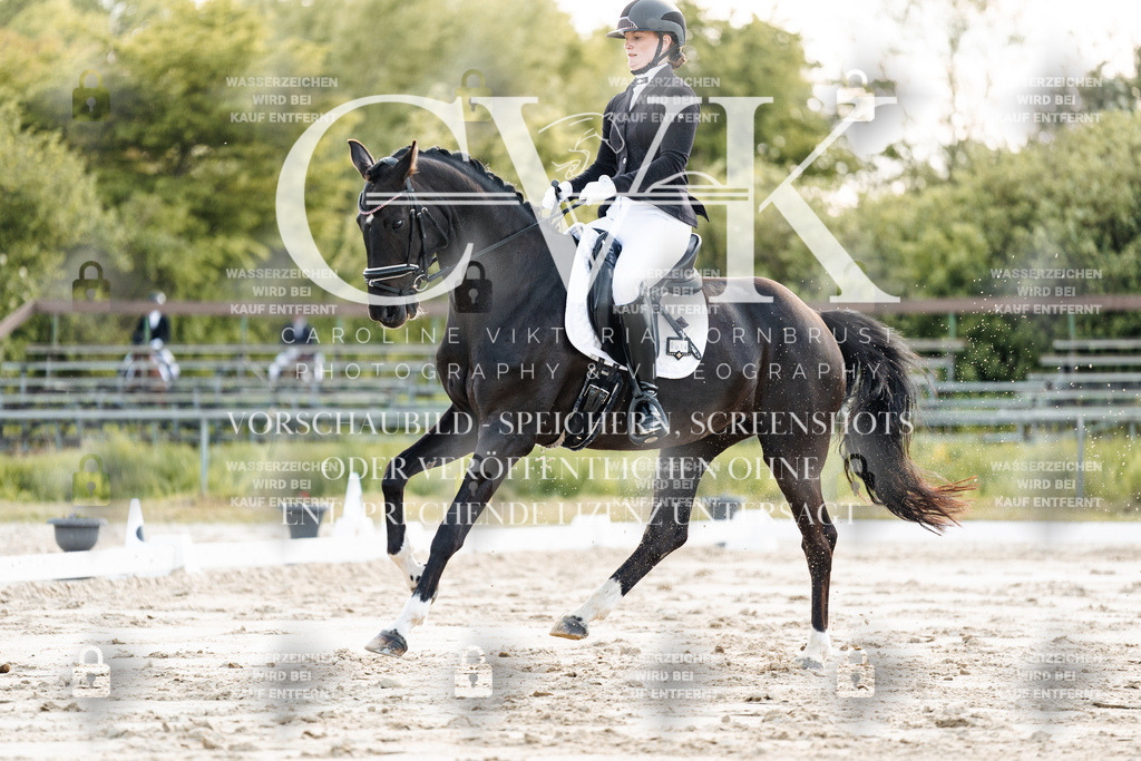 CK909445 | Turnierfotografie Pferdefotografie Trier Rheinland-Pfalz Pferdesport Reitsport Tierfotografie Sportfotografie Pferdevideo Pferdevideografie Equestrianvideography equestrianphotography  - Realisiert mit Pictrs.com