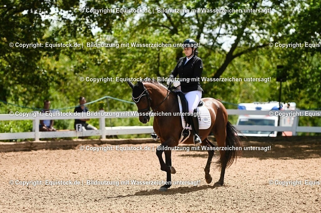 20230716_03_Dressurprfg. Kl.L - Tr._0103 | equistock