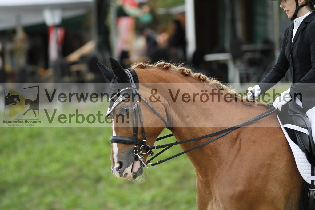 _MG_4036 | equestrian-live-com