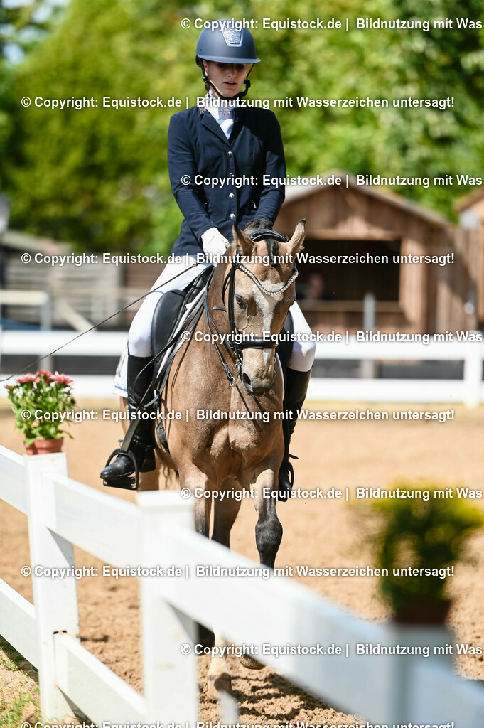 20230716_01_Dressurprüfung Kl.M_0214 | equistock