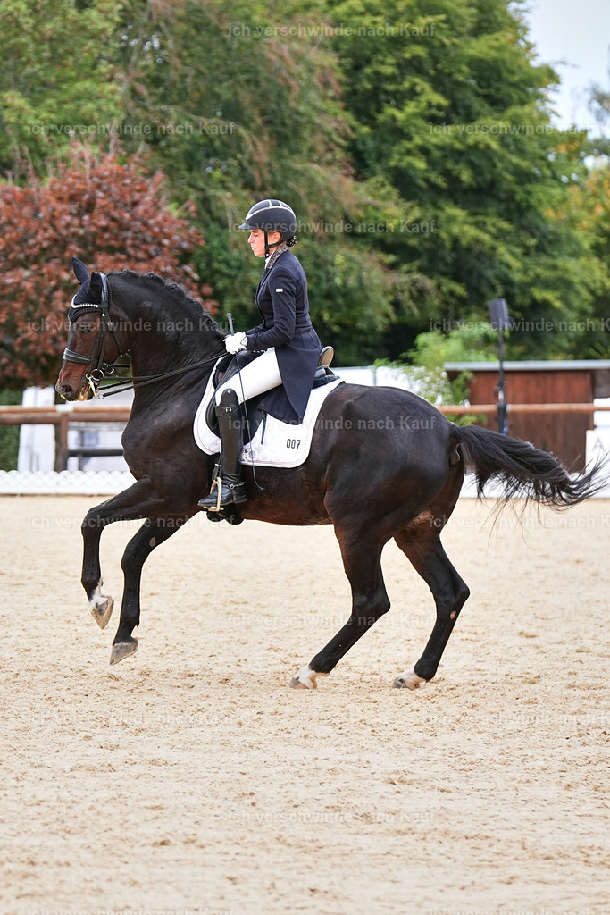 11-007-Dressur S___-Marixx-1710 | working equitationturnier fotograf videograf stoibphotography marixx film working equitation deutschland reitsport turnierfotografie eventfotografie equestrian events
