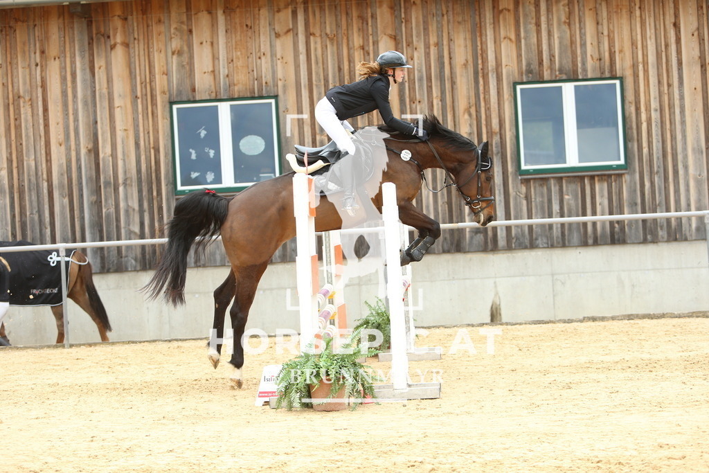 DL2Q2099 | Willkommen bei Brunnmayr - Design & Fotografie – Ihrem Spezialisten für Reitturniere und Pferdeveranstaltungen in Oberösterreich, Salzburg und Bayern! Seit über 17 Jahren sind wir leidenschaftlich dabei.