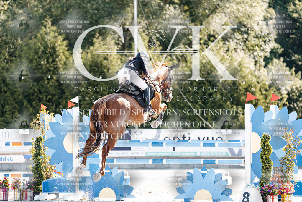 CK901684 | Turnierfotografie Pferdefotografie Trier Rheinland-Pfalz Pferdesport Reitsport Tierfotografie Sportfotografie Pferdevideo Pferdevideografie Equestrianvideography equestrianphotography  - Realisiert mit Pictrs.com
