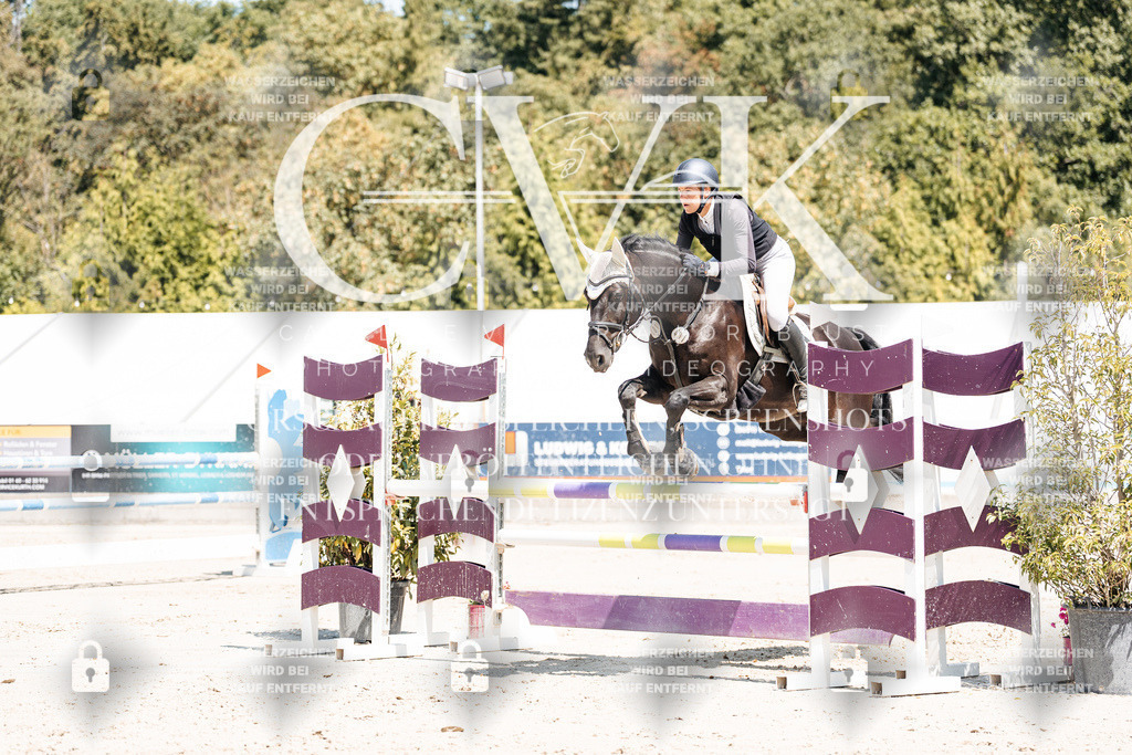 CK900167 | Turnierfotografie Pferdefotografie Trier Rheinland-Pfalz Pferdesport Reitsport Tierfotografie Sportfotografie Pferdevideo Pferdevideografie Equestrianvideography equestrianphotography  - Realisiert mit Pictrs.com
