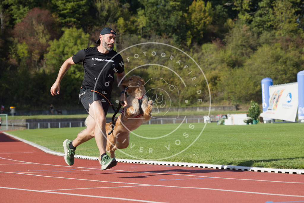 0L8A9826 | Hundefotografie, Tierfotograf, Pfotenfotografie, Fotoshooting Hund, Hunde Portrait, Hundesport, Hundeportraits, Heideshooting, Hunde, Sportfotograf, Hundefotograf, Turnierhundsport, THS,  - Realisiert mit Pictrs.com