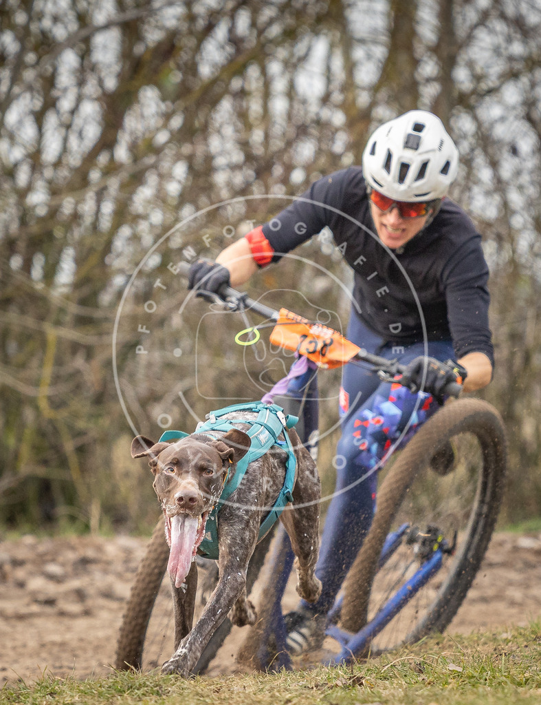 Pfotenfotografie_DV3A9241 | Hundefotografie, Tierfotograf, Pfotenfotografie, Fotoshooting Hund, Hunde Portrait, Hundesport, Hundeportraits, Heideshooting, Hunde, Sportfotograf, Hundefotograf, Turnierhundsport, THS,  - Realisiert mit Pictrs.com