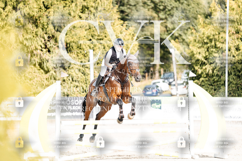 CK903039 | Turnierfotografie Pferdefotografie Trier Rheinland-Pfalz Pferdesport Reitsport Tierfotografie Sportfotografie Pferdevideo Pferdevideografie Equestrianvideography equestrianphotography  - Realisiert mit Pictrs.com