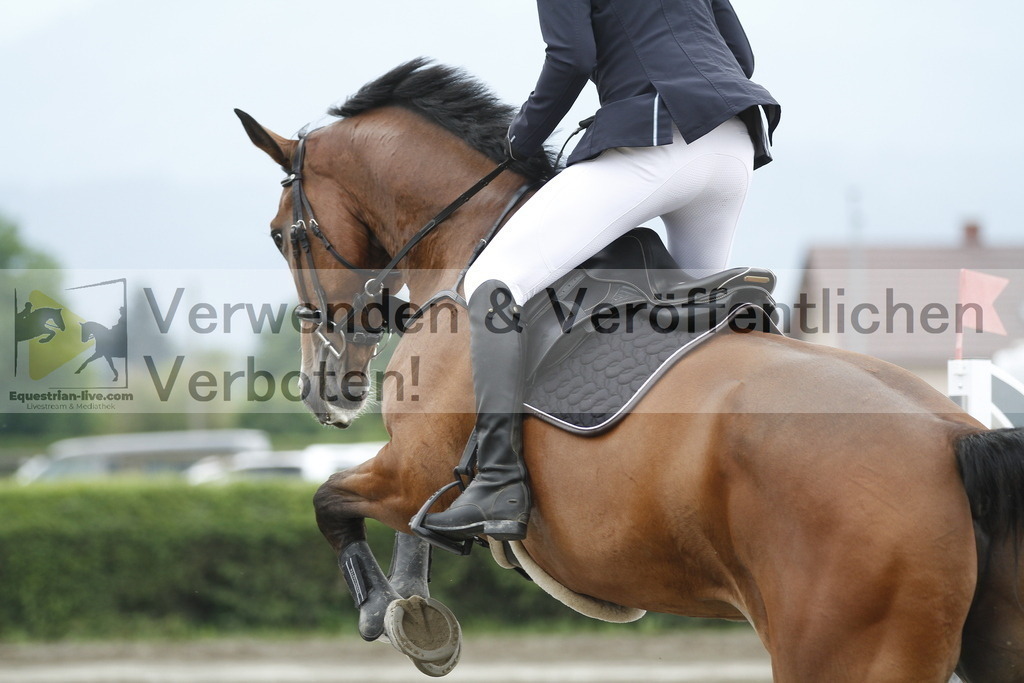 _MG_9584 | equestrian-live-com