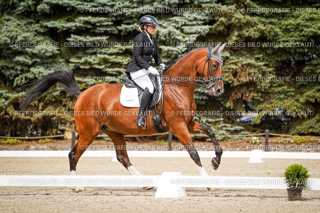 DSC05391 | Pferdegrafie