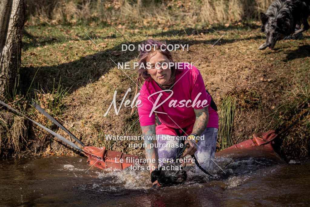 nelerasche_FS1300-1330_140 | nelerasche