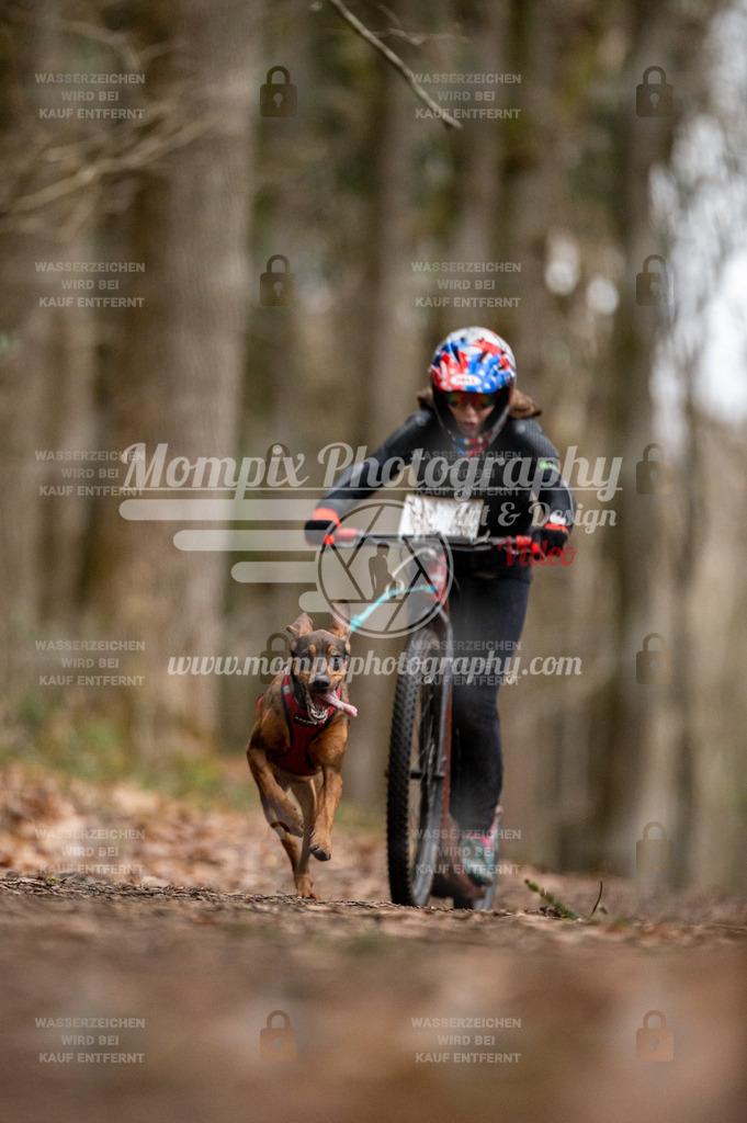 SPA_2023_DIM_Scooter-44 | PayLife