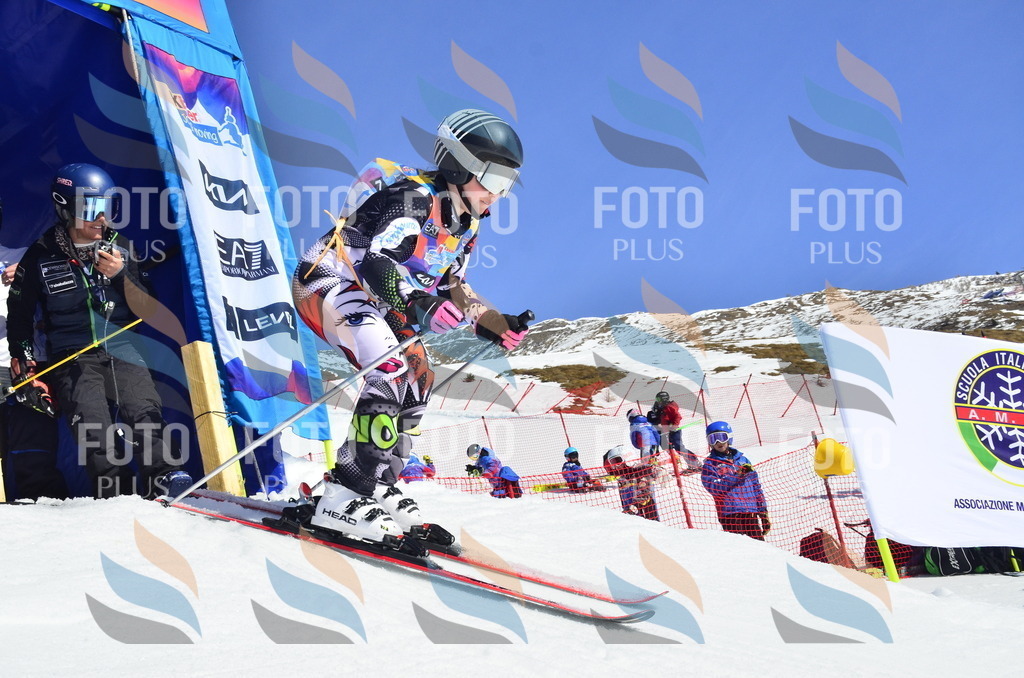 _ELE0332 | holidayphoto