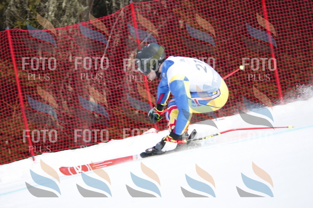 D8258 | holidayphoto