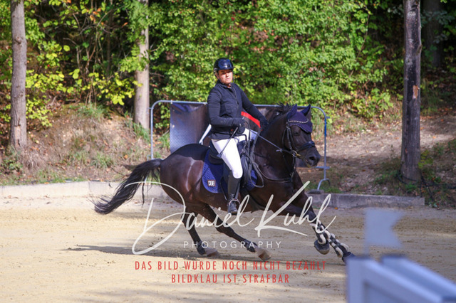 DKP42359 | Turniersportfotografie; Pferdefotografie; Dressurfotografie