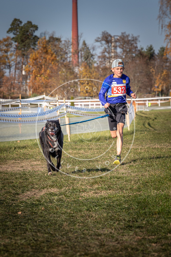 CaniXpix_0L8A7340 | Hundefotografie, Tierfotograf, Pfotenfotografie, Fotoshooting Hund, Hunde Portrait, Hundesport, Hundeportraits, Heideshooting, Hunde, Sportfotograf, Hundefotograf, Turnierhundsport, THS,  - Realisiert mit Pictrs.com