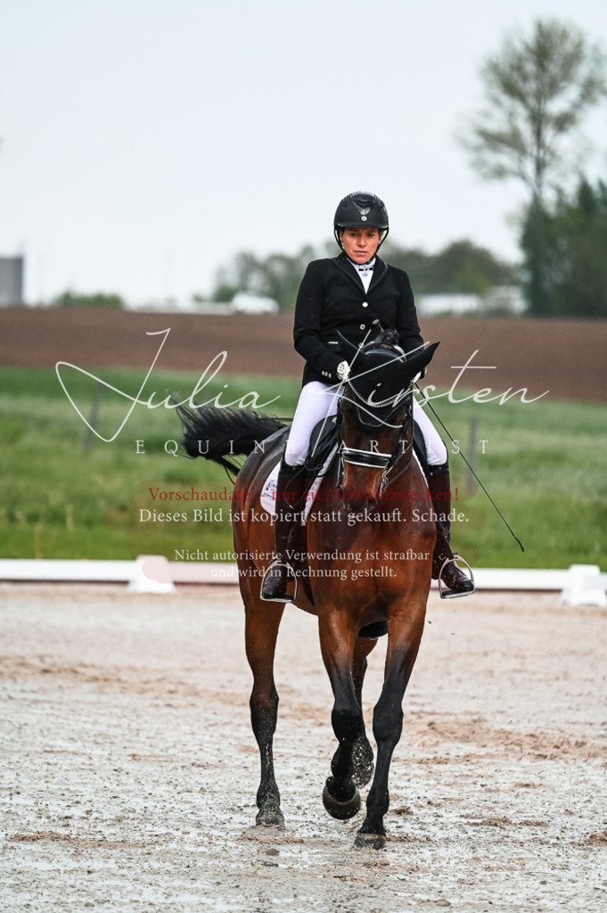DSC_4191 | Pferde- und Turnierfotografie in Westsachsen. Pferdeportraits, Auftragszeichnungen und intuitive Kunst.