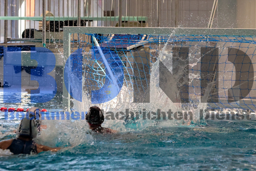 SES_BOCSPA20250209-12 | bond - Realisiert mit Pictrs.com