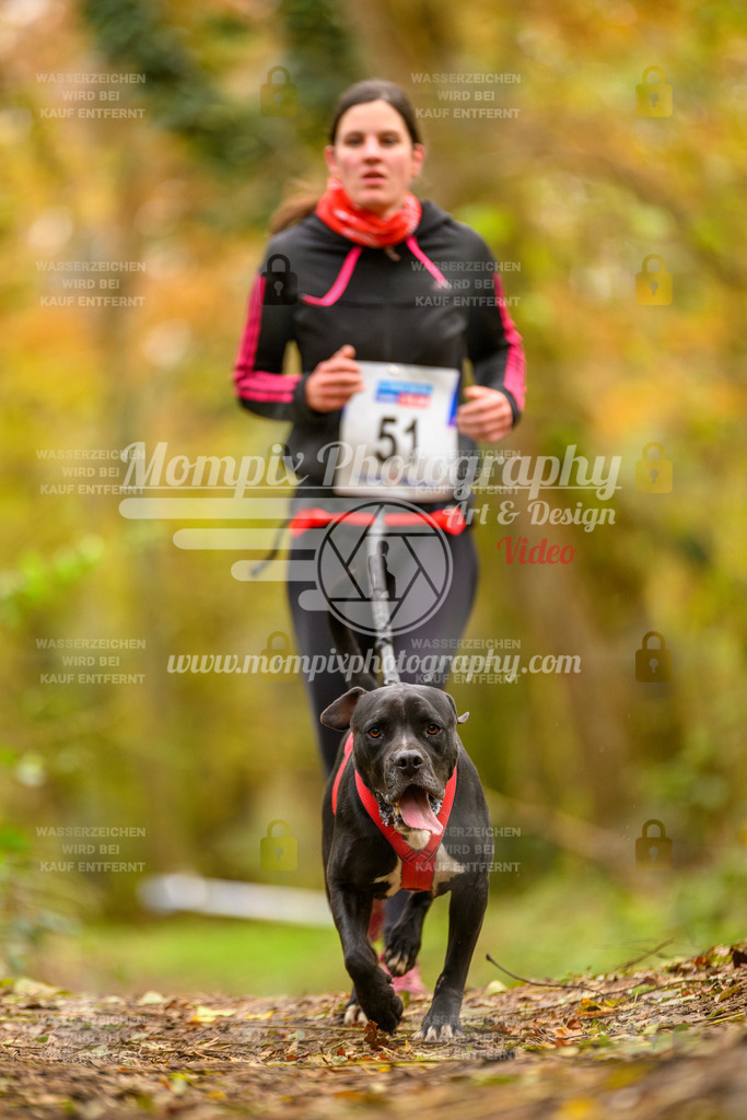 MompixPhotography_Bischwiller24_SA_Canicross-54 | PayLife