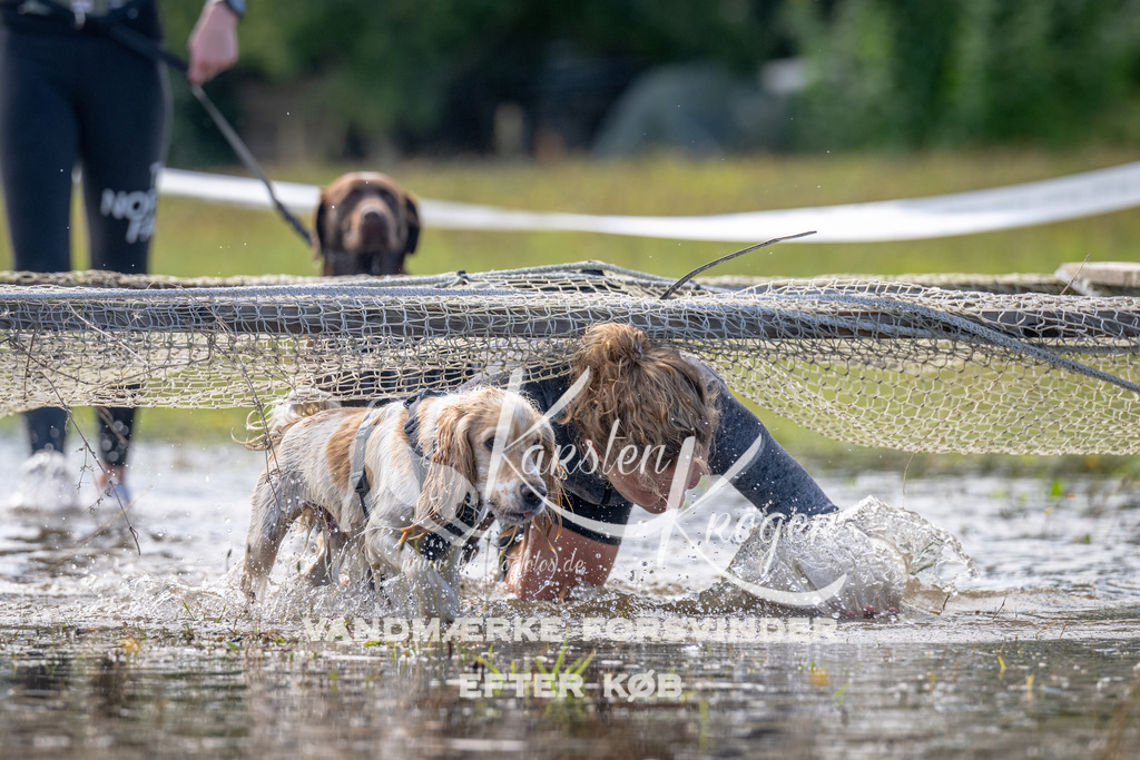 1214_ZZ93092 | kk-dogfotos