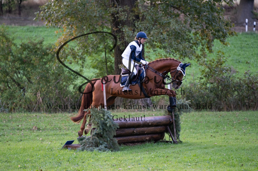 A7V02975 | Turnier/Reitfotograf