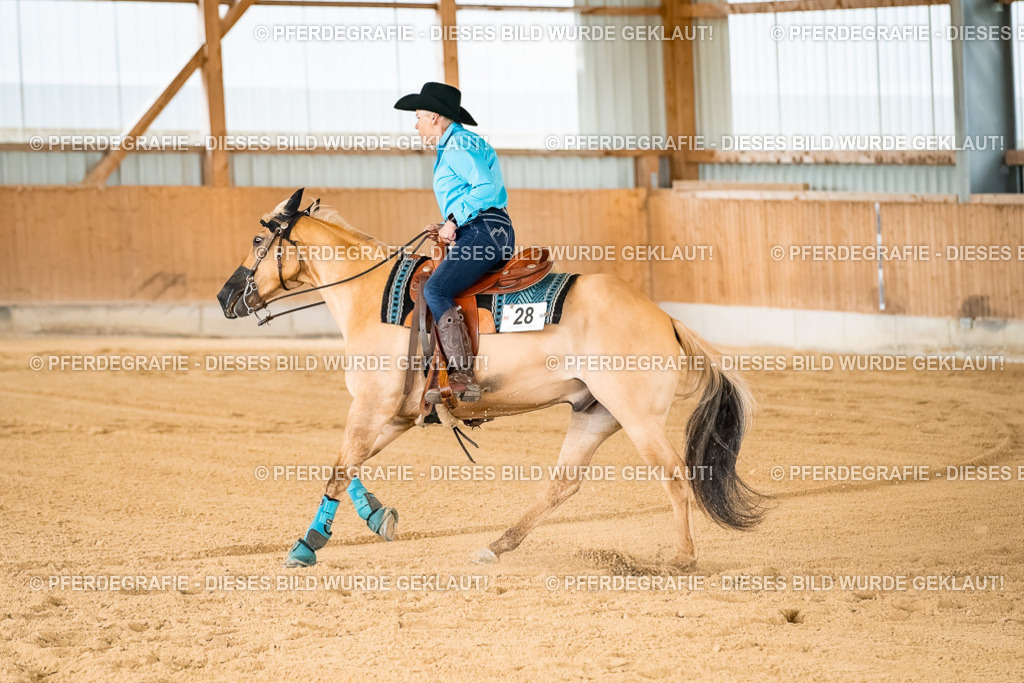 DSC02275 | Pferdegrafie