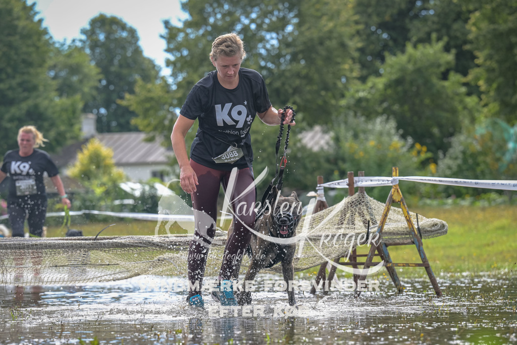 1327_ZZ91215 | kk-dogfotos