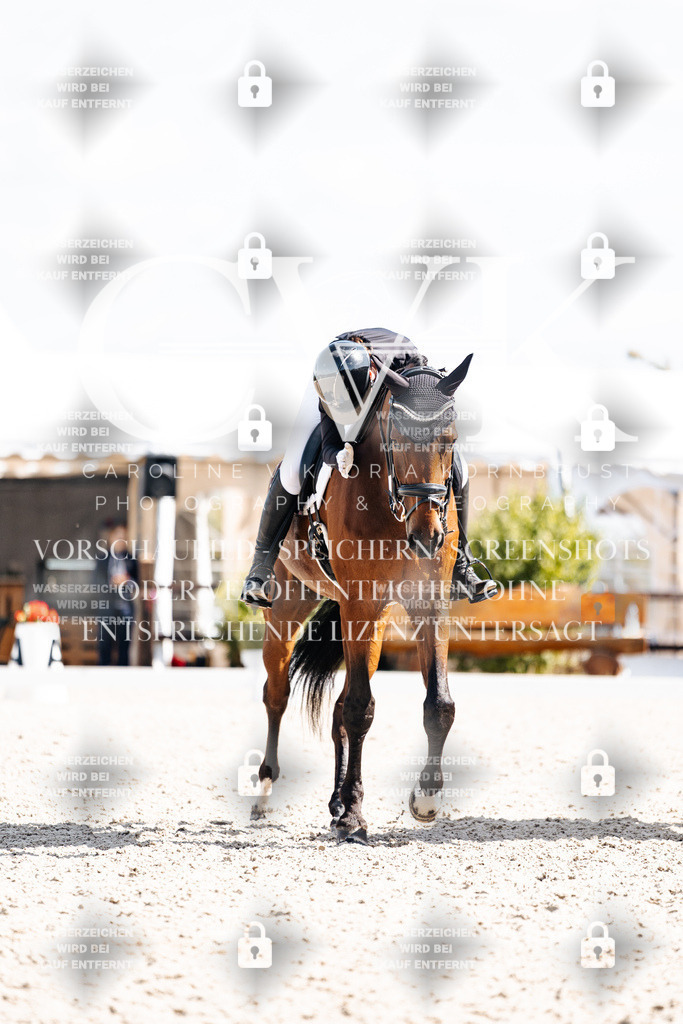 CK903009 | Turnierfotografie Pferdefotografie Trier Rheinland-Pfalz Pferdesport Reitsport Tierfotografie Sportfotografie Pferdevideo Pferdevideografie Equestrianvideography equestrianphotography  - Realisiert mit Pictrs.com