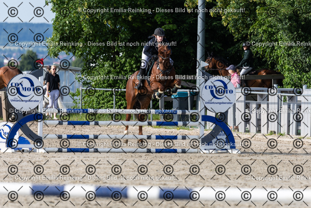 CL5A0078 | Emilia Reinking Fotografie - Realisiert mit Pictrs.com