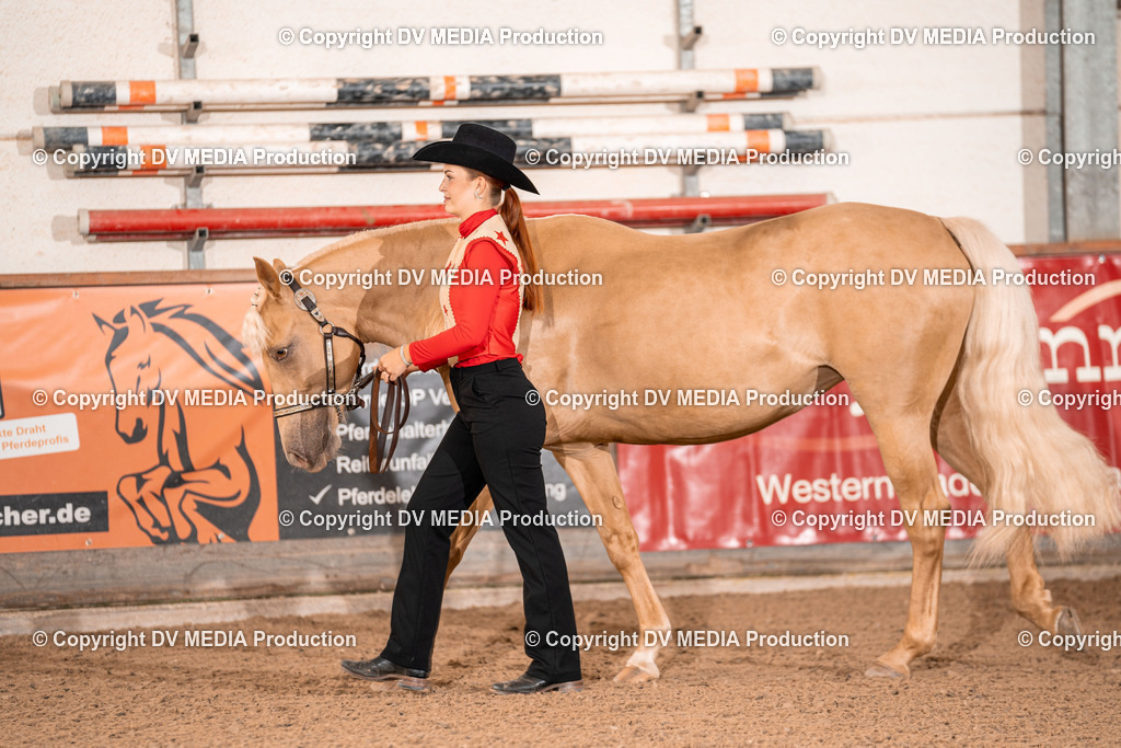 LM Heiligenwald Tag 1-24 | dv-media-shop - Realisiert mit Pictrs.com