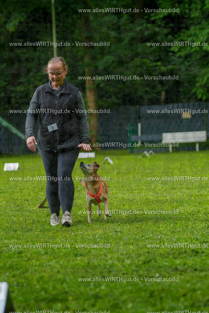 @allesWIRTHgut_Tierfotografie - www.allesWIRTHgut.de - 7R502051 | Professionelle Tierfotografie in Mönchengladbach von Daniel Wirth (allesWIRTHgut). Liebevolle & natürliche Bilder von Hunden & Katzen für unvergessliche Erinnerungen.