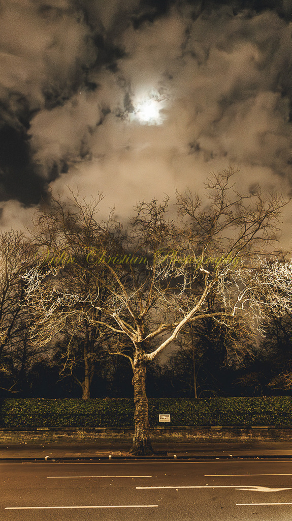 P 41 | Christian Vulin  - Realisiert mit Pictrs.com