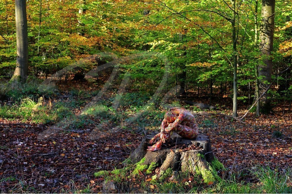 NatureArt-HERBSTLAUB_2713a2 | Auf der Herbstwurzel | #005 | Modell: Fee | Foto: Andreas Meier - Realisiert mit Pictrs.com