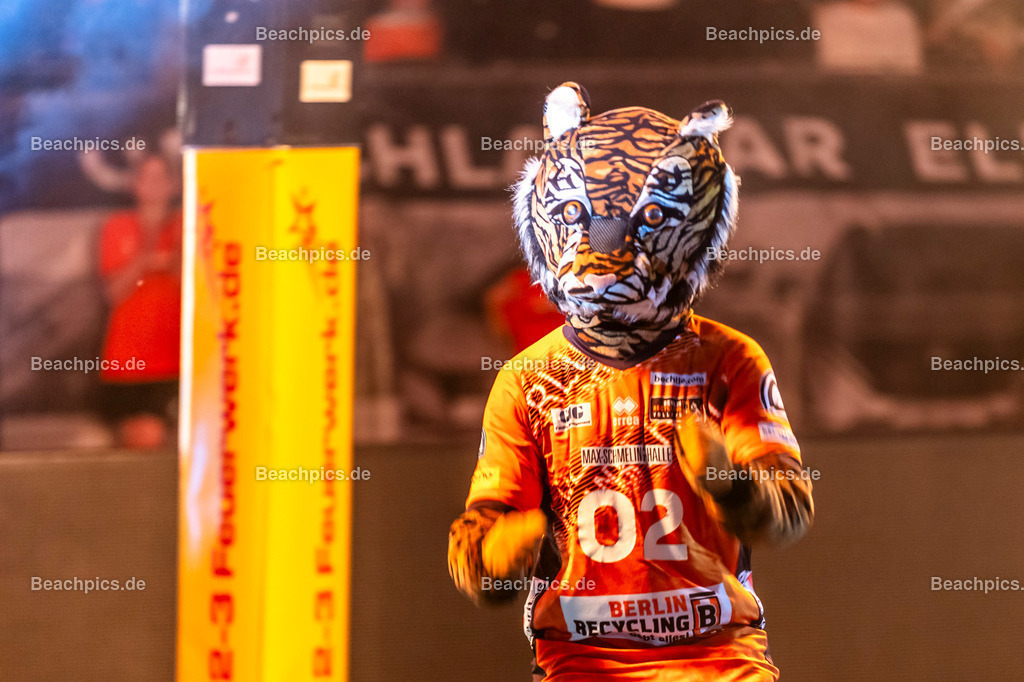 2024-00111573-Bundesliga-BR-Volleys-Haching-München |  16.11.2024; Berlin Foto: Gerold Rebsch - www.beachpics.de